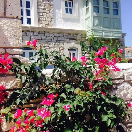 Private With Pool 150 M From The Sea - 4 Bathrooms - 8 People Villa *